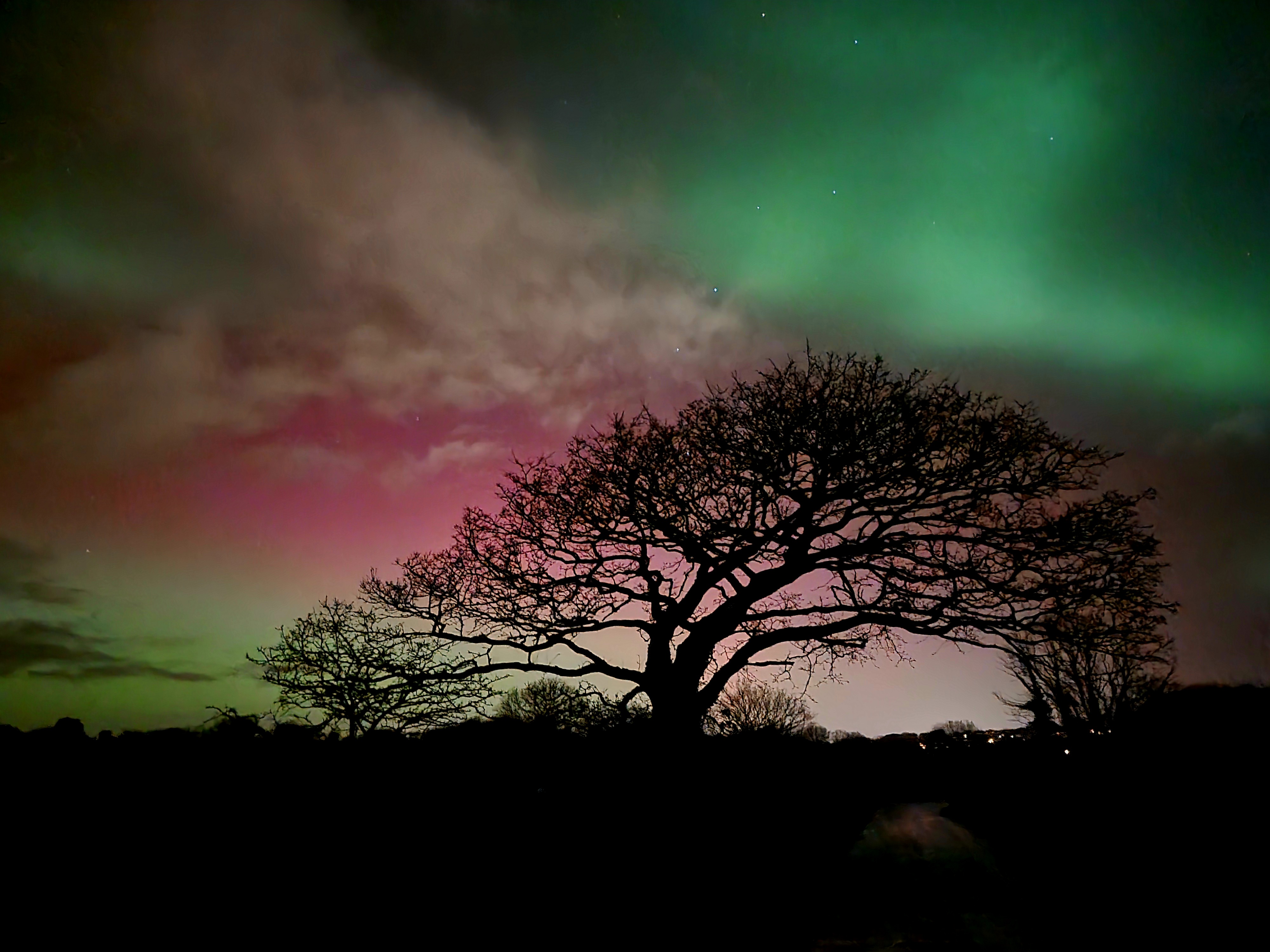 Aurora